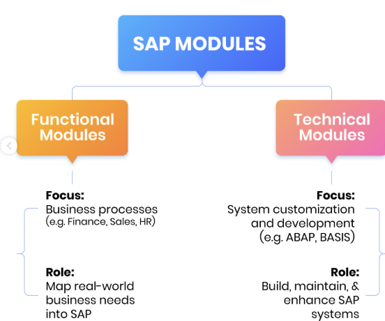 Unlock High-Demand SAP Careers with Functional & Technical Expertise